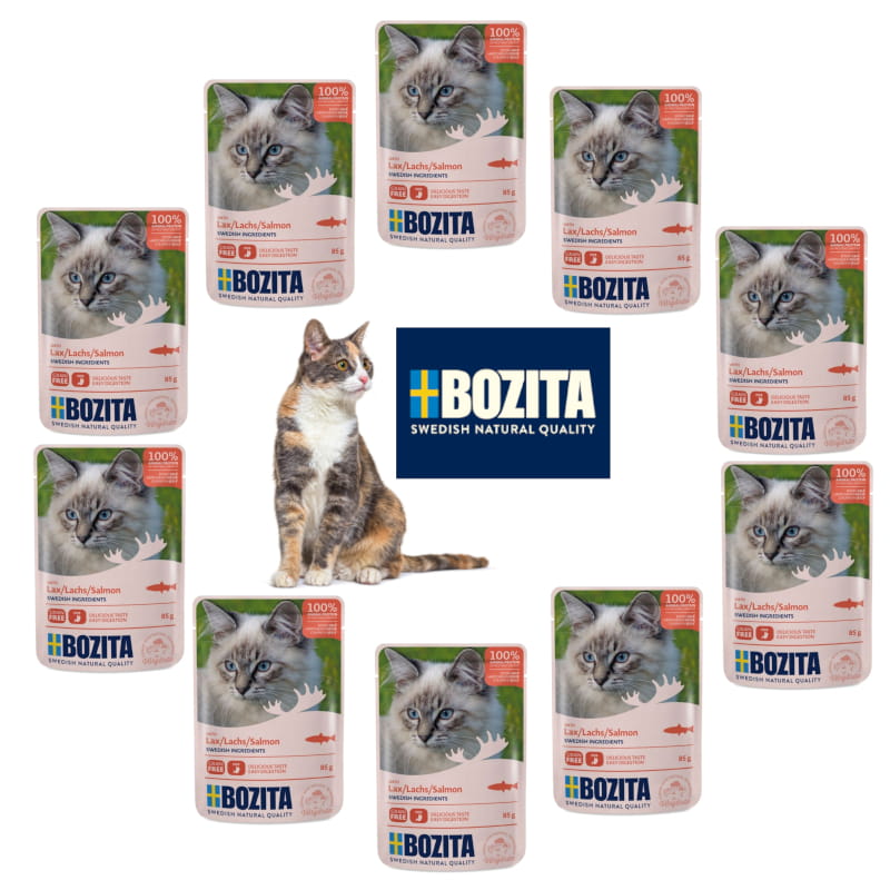 10 x łosoś 85g logo kot.jpg